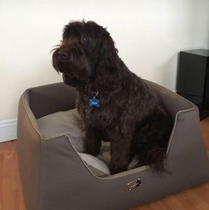 Meet your Posher, Paula